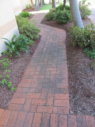 Paving restoration